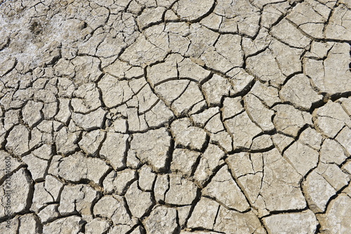 The parched soil