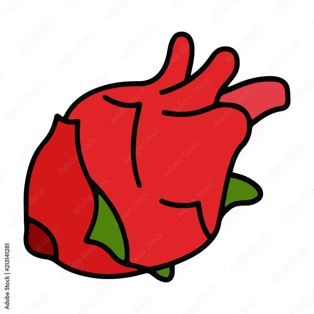 Dragon Fruit cartoon illustration isolated on white background for children color book Dragon Fruit cartoon illustration isolated on white background for children color book
