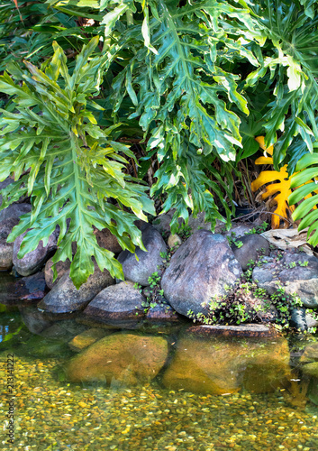 Lago, rochas e folhas verdes