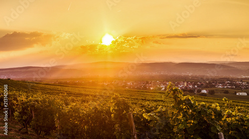 Sunset in Rheinhessen photo