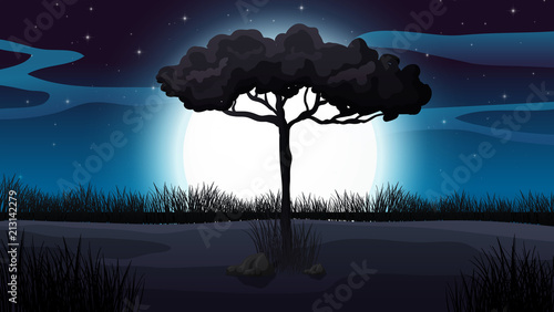 Forest and Moonlight Scene