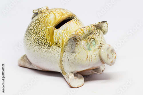 Obraz na plátně Isolated iggy bank