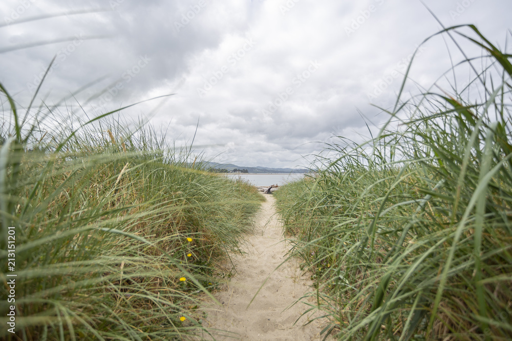 Path in grass to the beach. Blur background and front grass.
