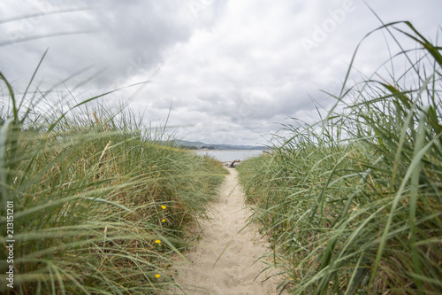 Path in grass to the beach. Blur background and front grass. © Vladimir Chopine