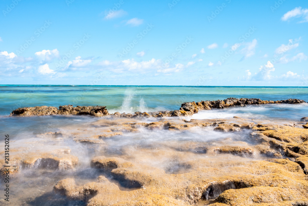 Paradise coral tropical Beach in Brazil, Carneiros Beach, Pernambuco Paradise coral tropical Beach in Brazil, Carneiros Beach, Pernambuco