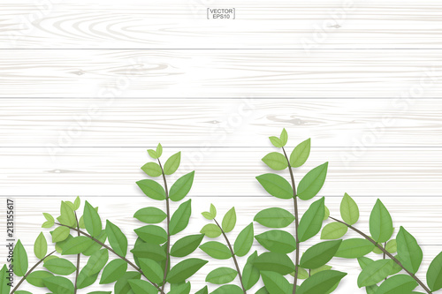 Wood plank pattern and texture with green leaves for natural  background. Abstract background for product presentation. Realistic vector.