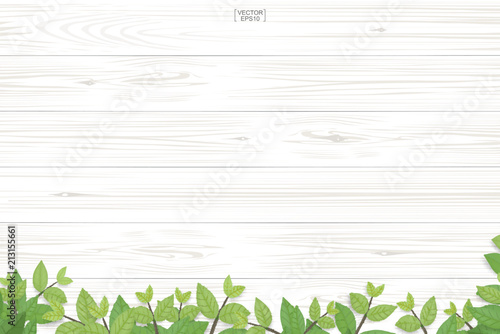 Wood plank pattern and texture with green leaves for natural  background. Abstract background for product presentation. Realistic vector.