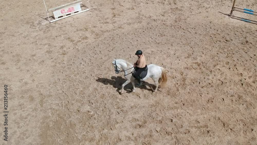 A sunny day in a riding center with beautiful horses and a jockey A sunny day in a riding center with beautiful horses and a jockey