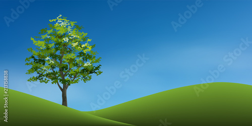 Tree on green grass hill with blue sky. Abstract background park and outdoor for landscape idea. Use for natural article both on print and website. Vector.