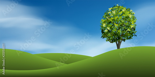 Tree on green grass hill with blue sky. Abstract background park and outdoor for landscape idea. Use for natural article both on print and website. Vector.