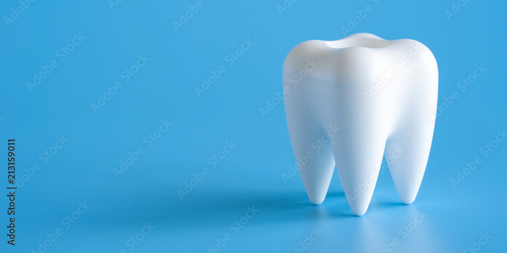 Dental concept healthy equipment  tools dental care Professional  banner - obrazy, fototapety, plakaty 