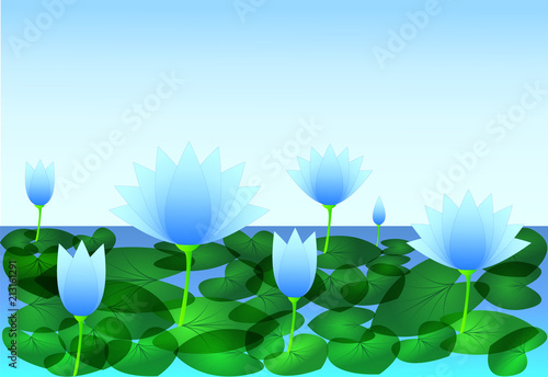 Cool and beautiful blue waterlily flowers with leaf in the pond water with blue sky