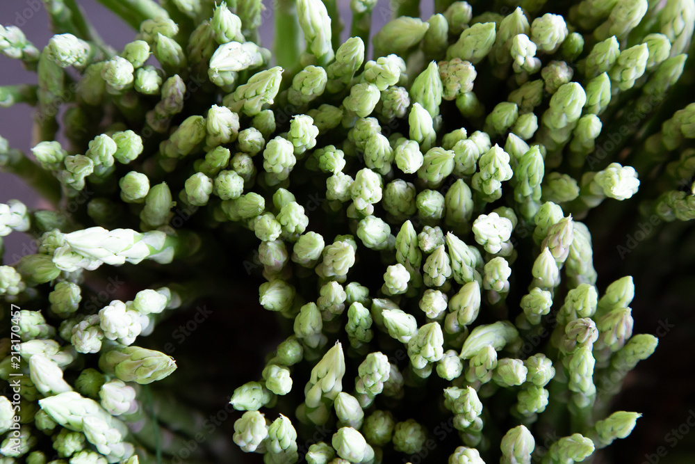Fresh Asparagus on market Fresh Asparagus on market