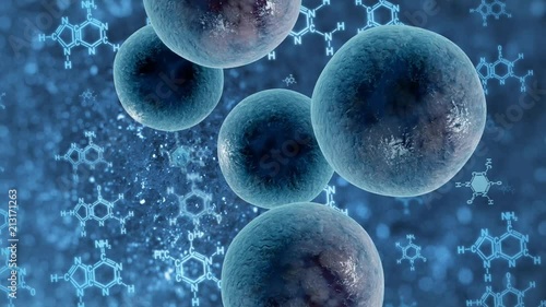 division of cells of the virus on a cyclic medical and scientific background