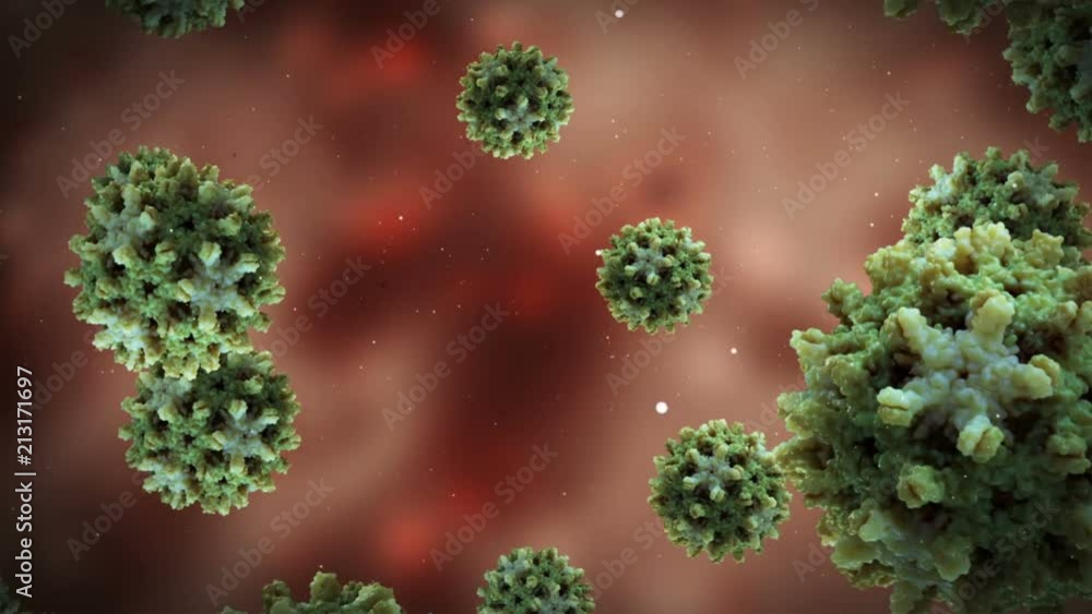attack of the hepatitis virus within the human body attack of the hepatitis virus within the human body