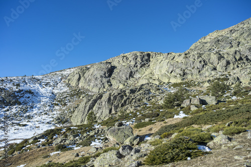 Padded brushwood (Juniperus communis subsp. alpina and Cytisus oromediterraneus) next to de Penalara Lagoon, in Guadarrama Mountains National Park, province of Madrid, Spain photo