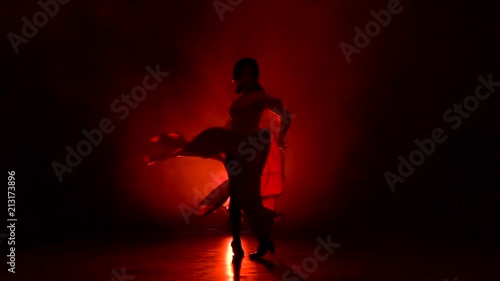 Dancer of Argentine flamenco. Red background. Silhouette. Slow motion