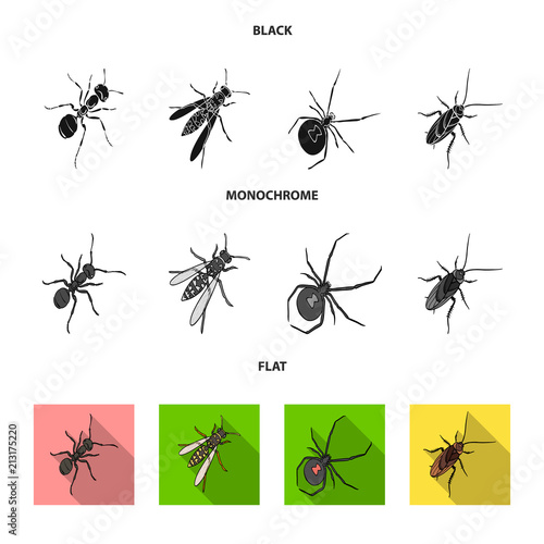 An insect arthropod, an osa, a spider, a cockroach. Insects set collection icons in black, flat, monochrome style vector symbol stock isometric illustration web.
