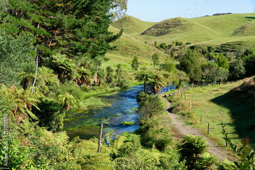 River through lush green rural scenery in Waikato, New Zealand