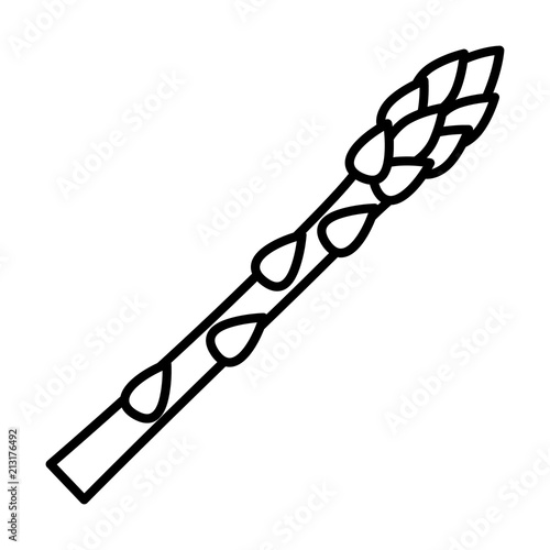 Garden asparagus or sparrow grass line art vector icon for vegetable apps and websites