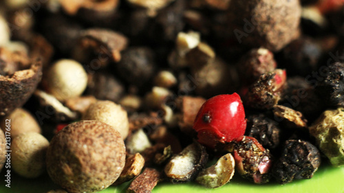 Various spices for cooking so close photo