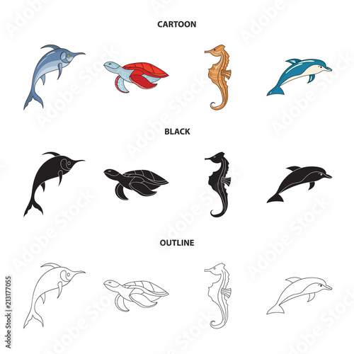 Merlin, turtle and other species.Sea animals set collection icons in cartoon,black,outline style vector symbol stock illustration web.