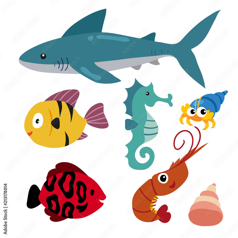 marine life vector collection design marine life vector collection design