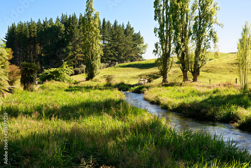 River through a rural Waikato farm