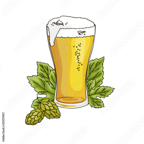 vector contour color gold beer drink in glass with foam hop leaf on white Octoberfest