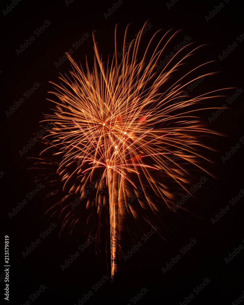 Obraz premium Fireworks1