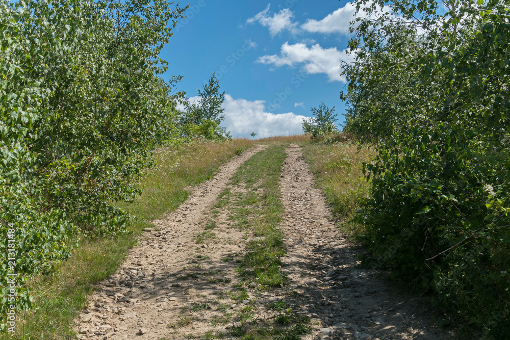A dirt road strewn with rubble going to the hill between bushes with a blue sky in the distance with clouds visible in the distance.