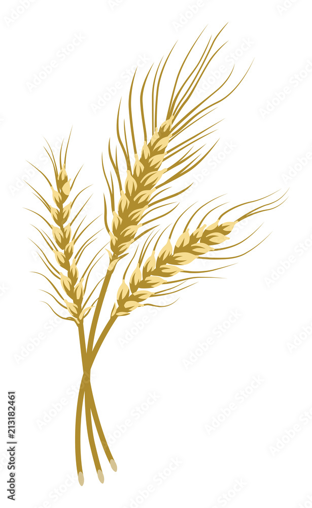 Bunch of wheat Bunch of wheat