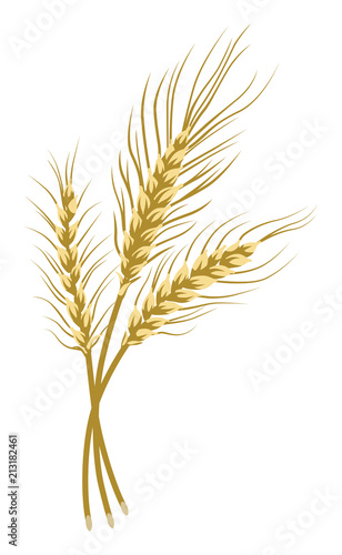 Bunch of wheat