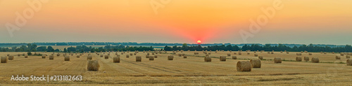 wheat field with bale of straw after harvest under the western sun
