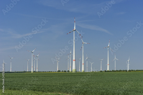 Windpark und Getreidefelder im Frühling