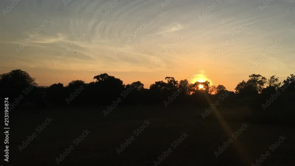 Sunset with bird flying across Sunset with bird flying across