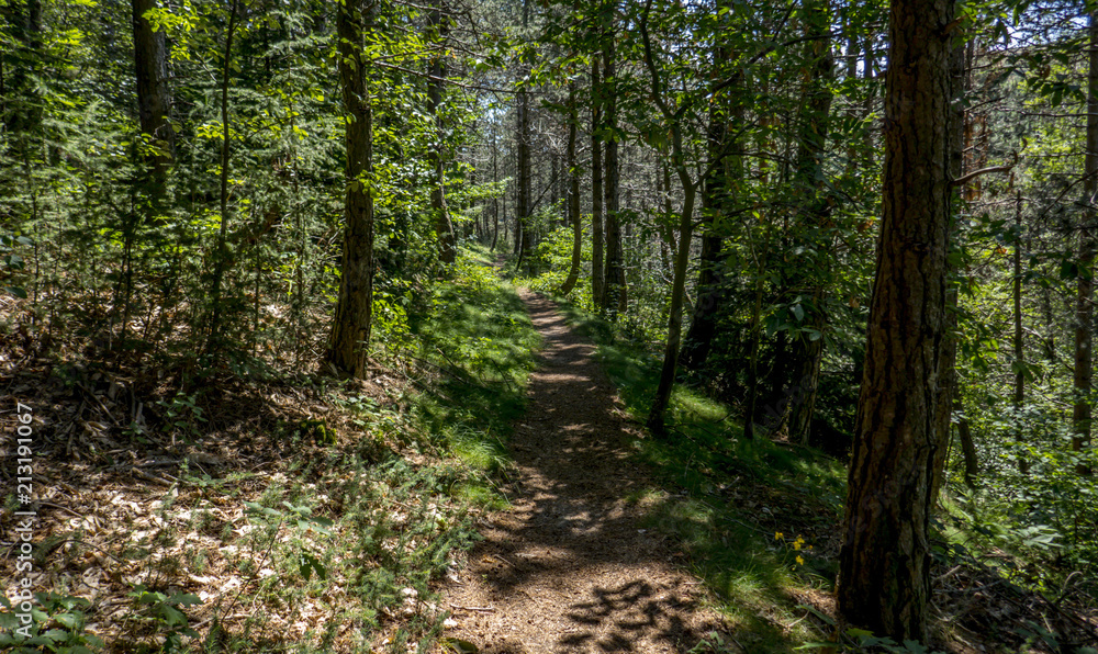 Randonnées en Lozère - Paysages - Randonnées en Lozère - Paysages -