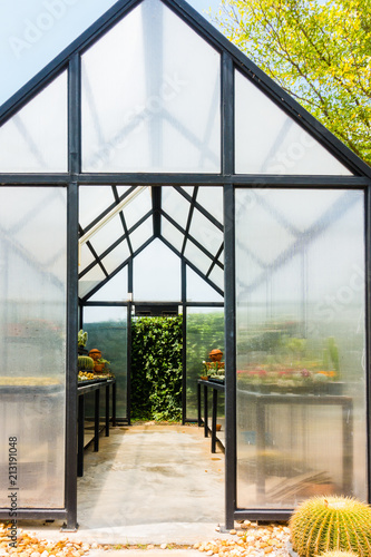 Modern glass greenhouse with cactus.