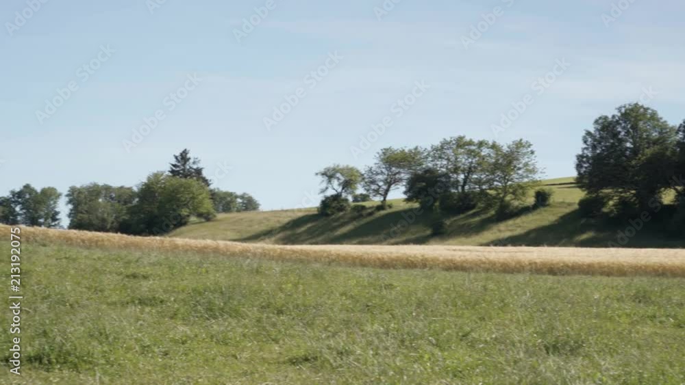 4K 360 pan of rolling green hills and fields with trees 4K 360 pan of rolling green hills and fields with trees