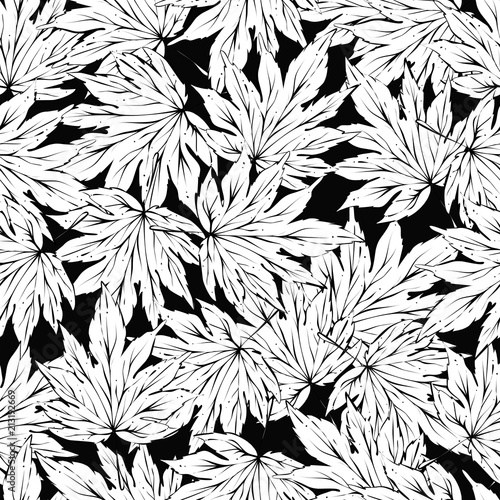 Leaves seamless pattern, vector, vlack and white lines