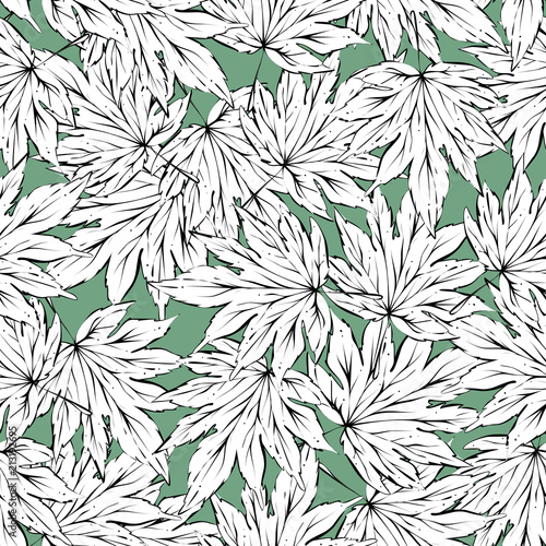Leaves seamless pattern, vector, vlack and white lines
