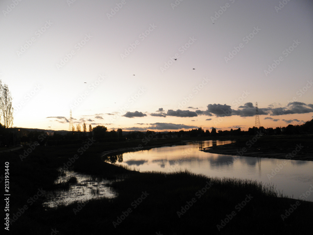 Dusk along river with birds flying in the sky