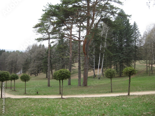On a green meadow grows several tall pines and trees, trimmed in the form of balls. In the foreground, the path is covered with sand for walking, the edges of which grow young trees, trimmed in the f