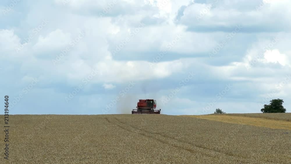 Combine harvester working on sunny summer day. Harvest time. Agricultural sector Combine harvester working on sunny summer day. Harvest time. Agricultural sector