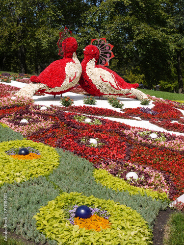 Two large birds made of flowers. In the park in the middle of the flower beds are facing each other.