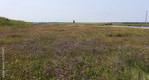 Walberswick photo