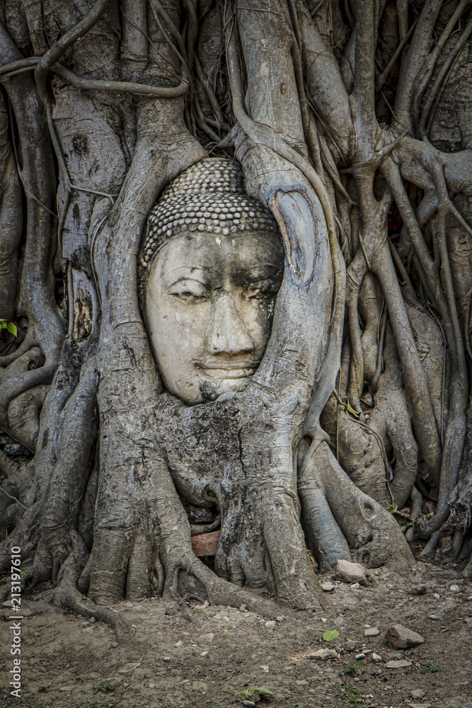 Image of a Buddha faces in a tree root, Ayutthaya, Thailand.