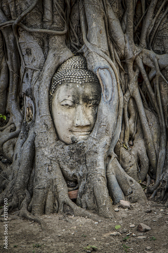 Image of a Buddha faces in a tree root, Ayutthaya, Thailand.