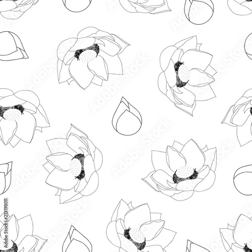Indian lotus Outline on White Background.