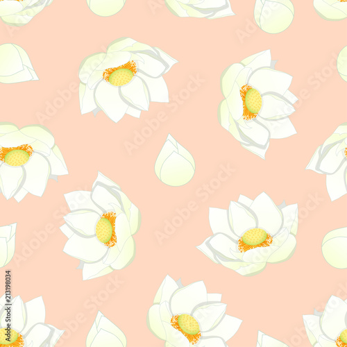 White Indian lotus on Light Pink Background